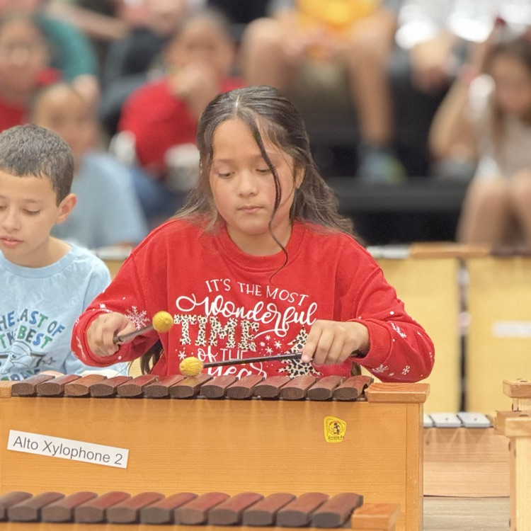 student playing instrument 