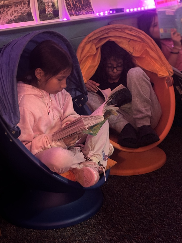 We got new flexible seating! kids love reading inside their new seat