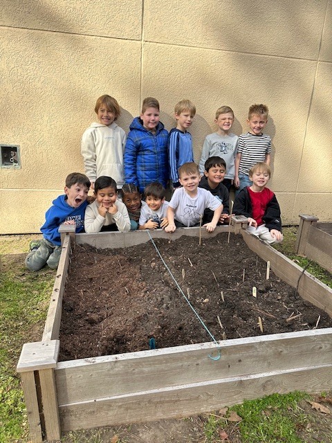 Kinder planting tulips.