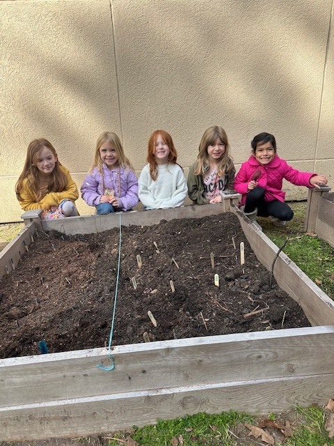 Kinder planting tulips.