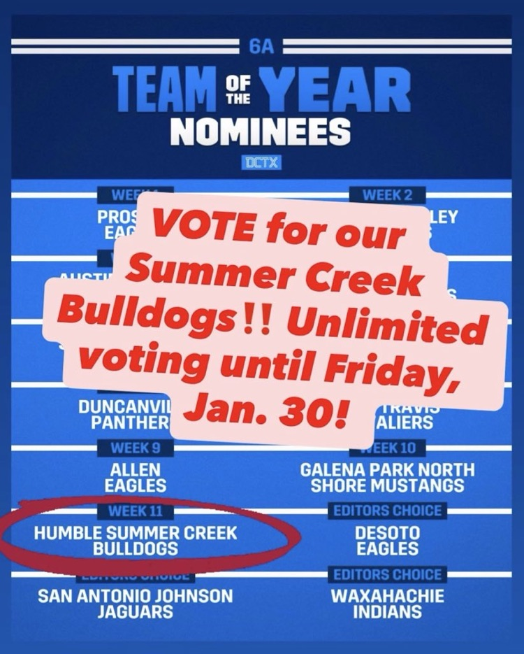 vote for team of the year