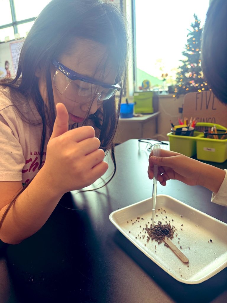 Students adding water to coarse sand and discussing if there is a change happening.