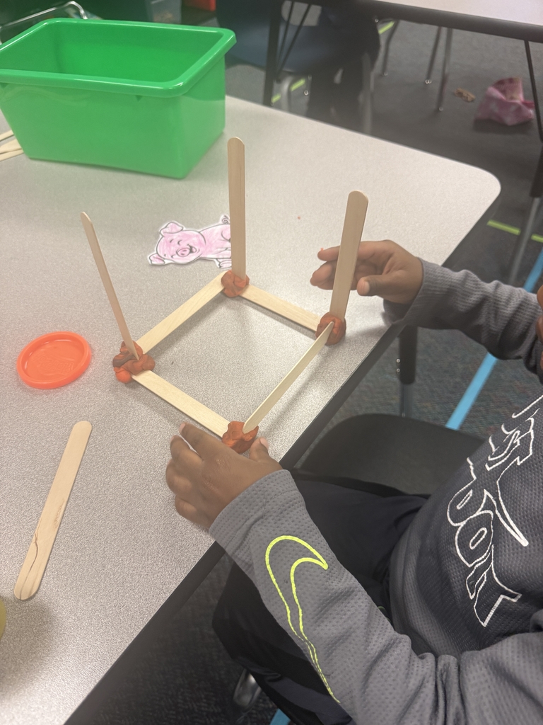 Big Bad Wolf STEM Challenge