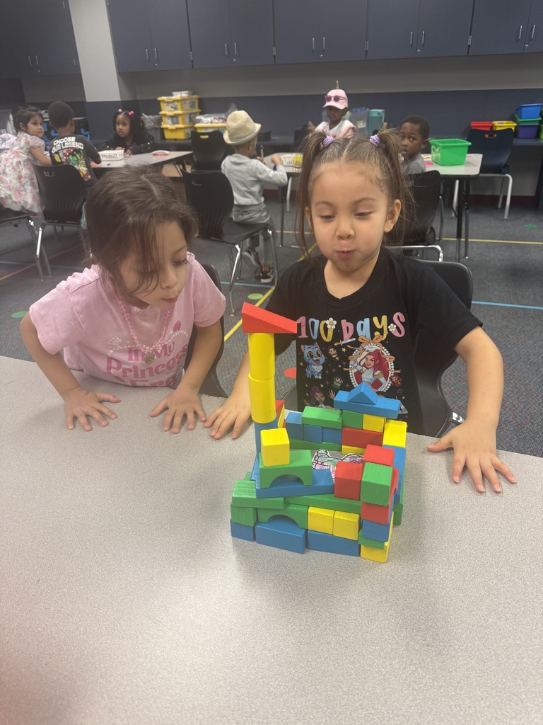 Big Bad Wolf STEM Challenge