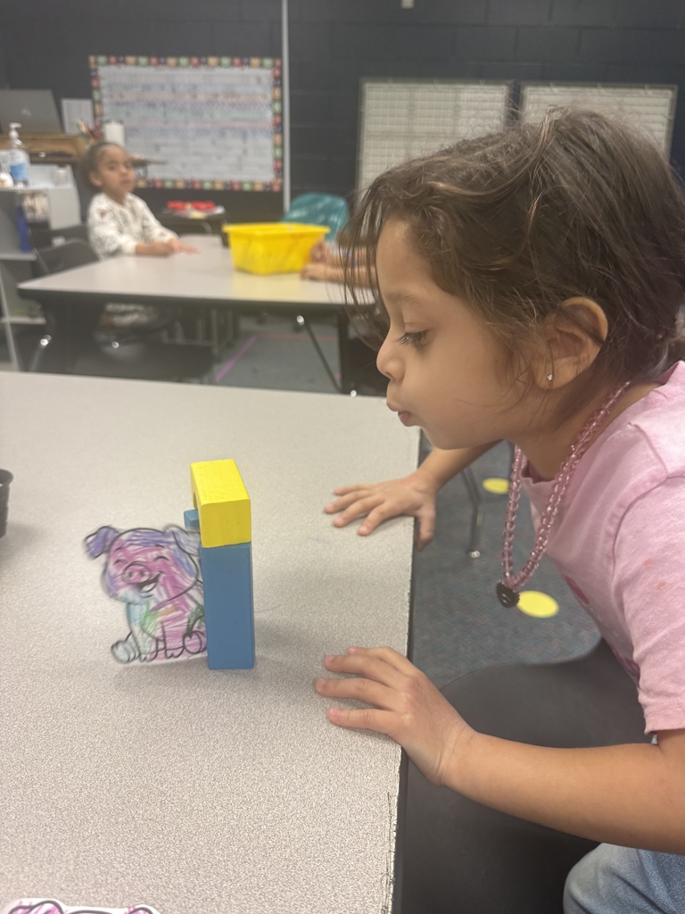 Big Bad Wolf STEM Challenge