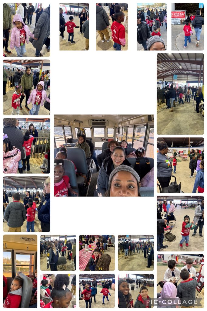 Special Kids Day at Humble Livestock Show