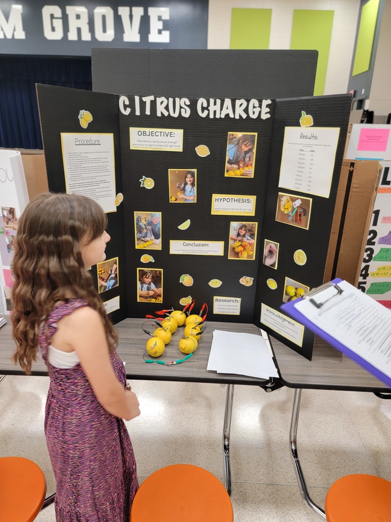 Science Fair