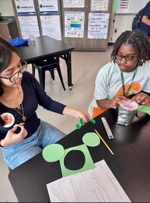 The girls insulating their plastic cup.
