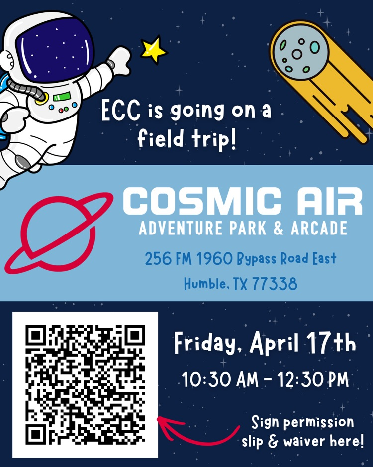 cosmic air flyer