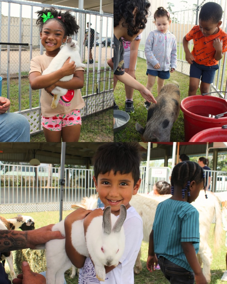 Marsha’s zoo images