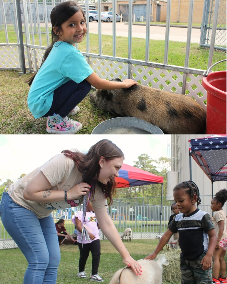 Marsha’s zoo images