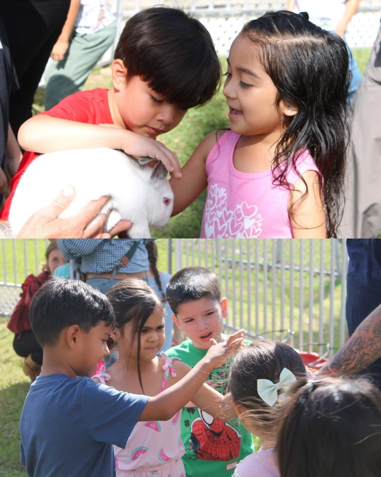 Marsha’s zoo images