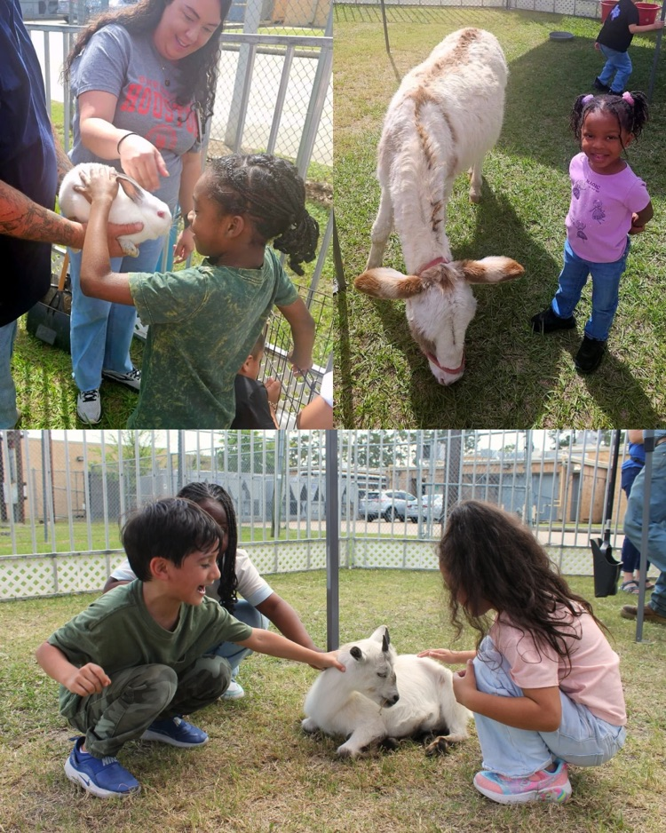 Marsha’s zoo images