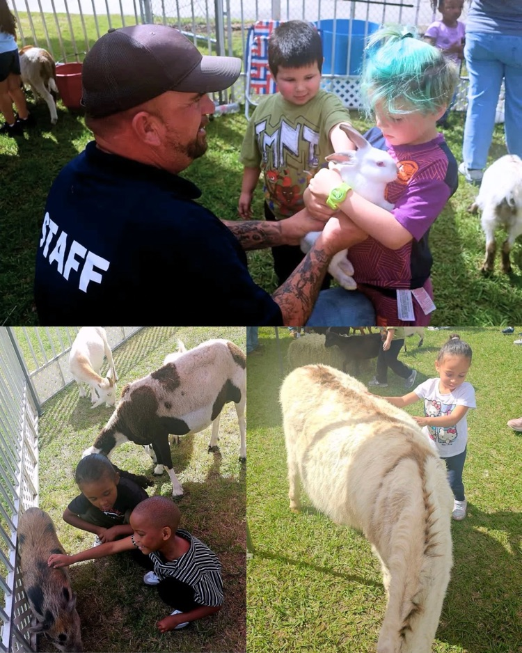 Marsha’s zoo images