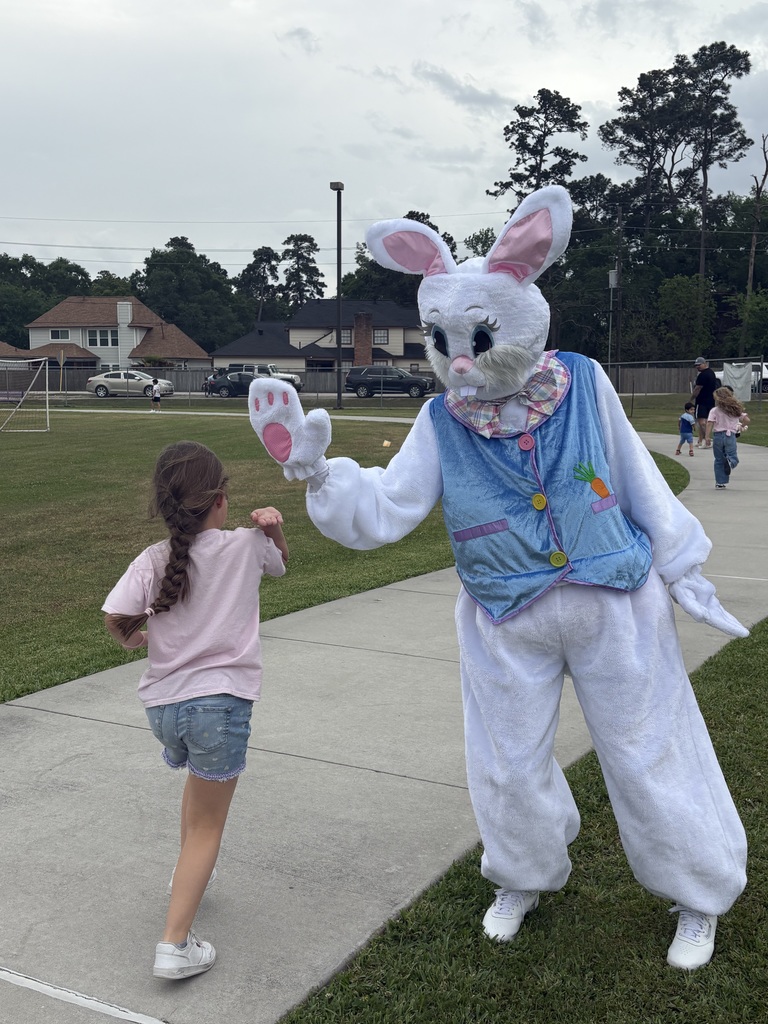Bunnyhoprun20261