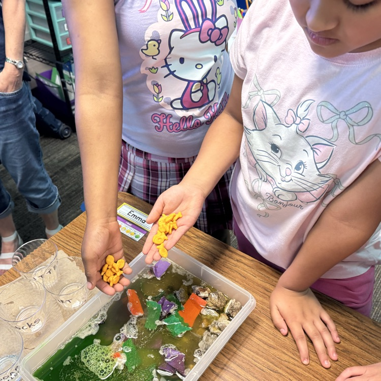 students doing science project
