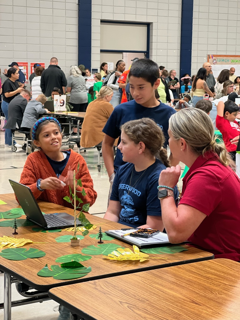 DWE Robotics Team