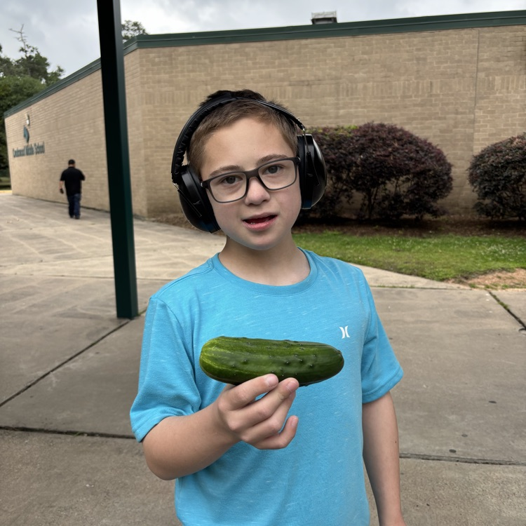 veggies