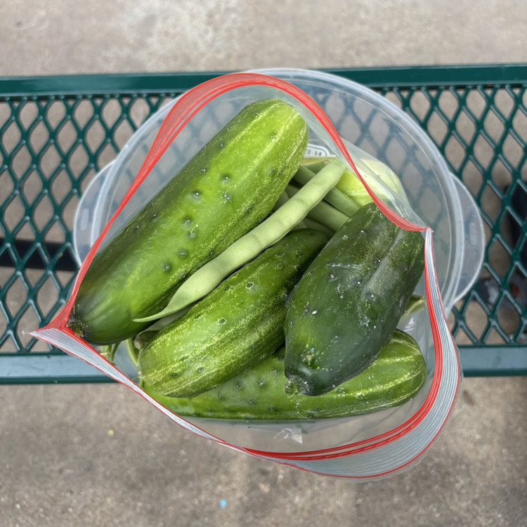 veggies