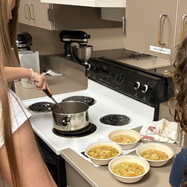 chicken noodle 