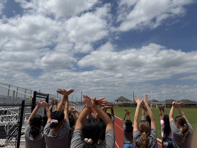 Hawk salute 