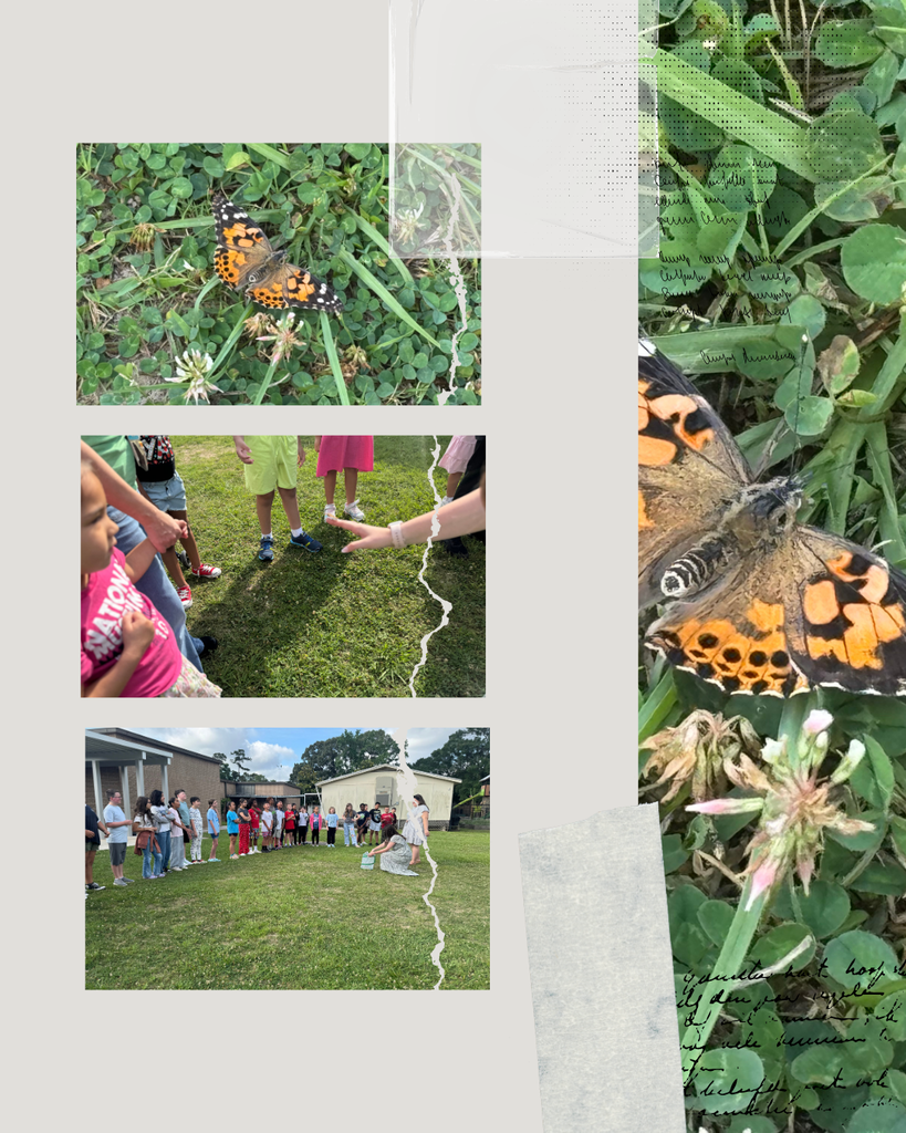 Butterfly Release