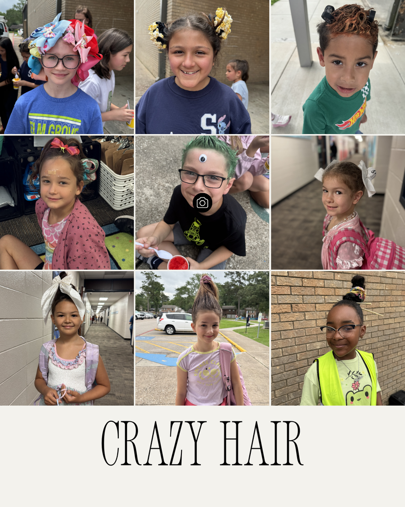 Crazy Hair Day