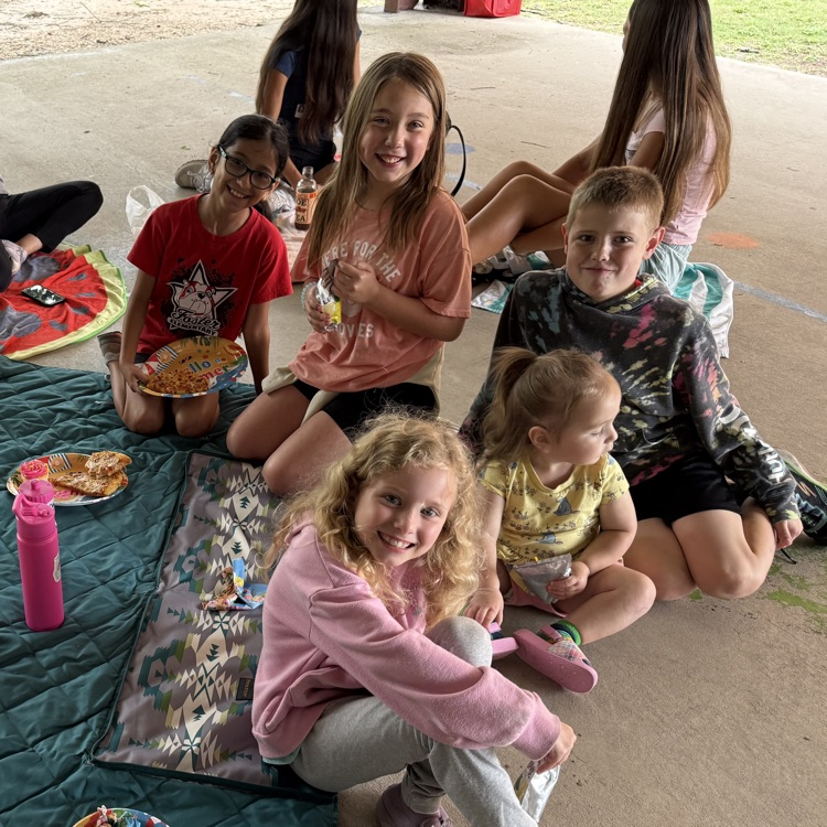 picnic