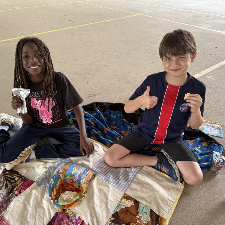 picnic