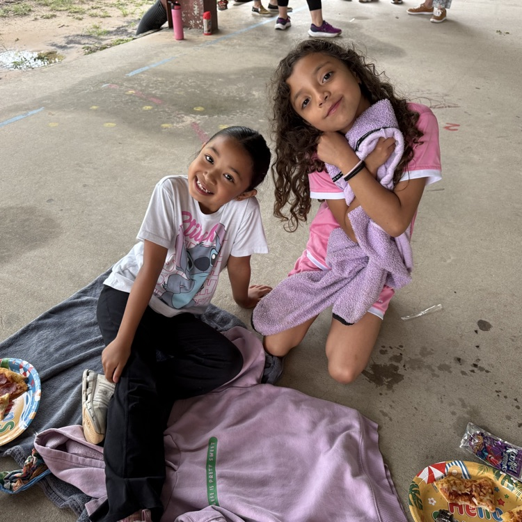 picnic