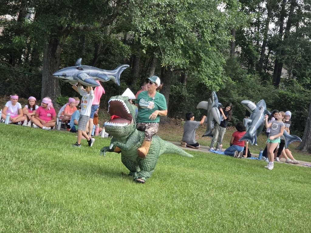 Shark Ball 2026
