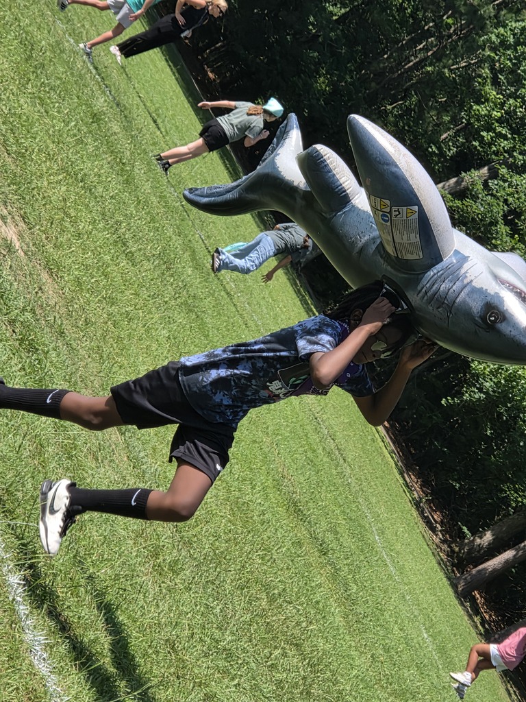 Shark Ball 2026