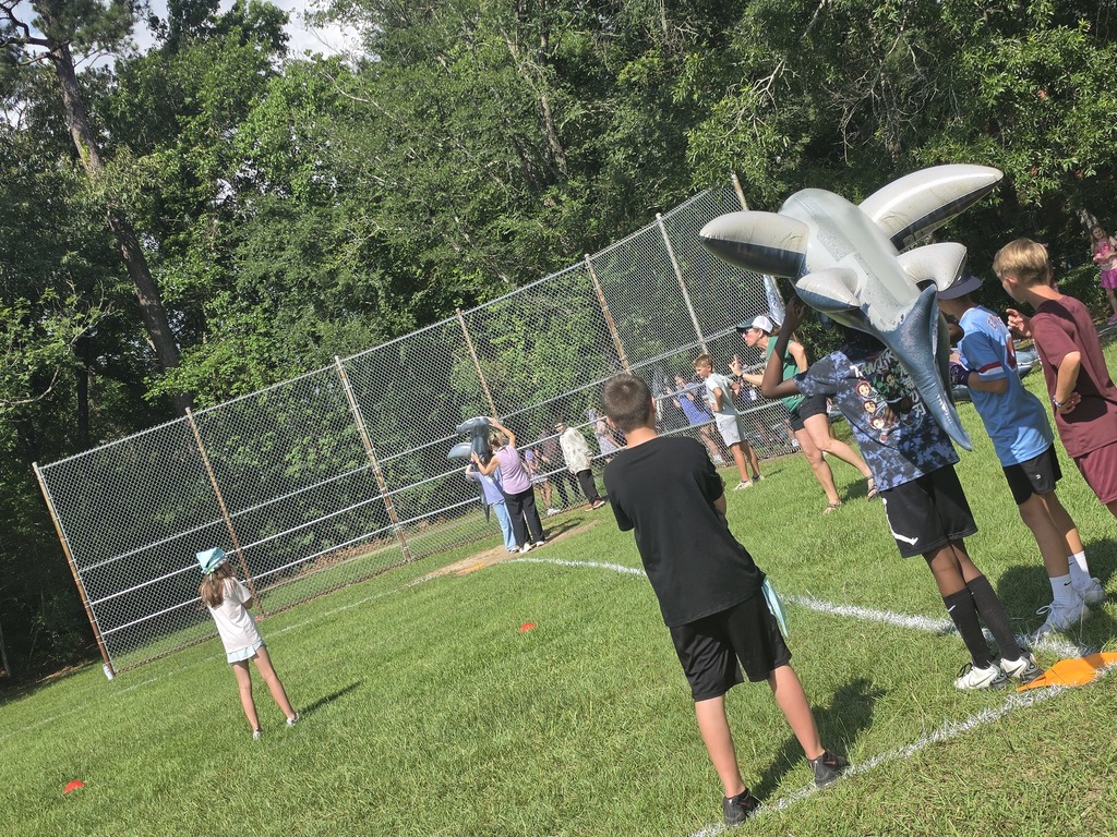 Shark Ball 2026