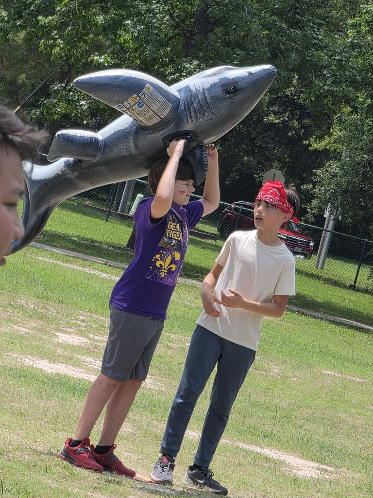 Shark Ball 2026