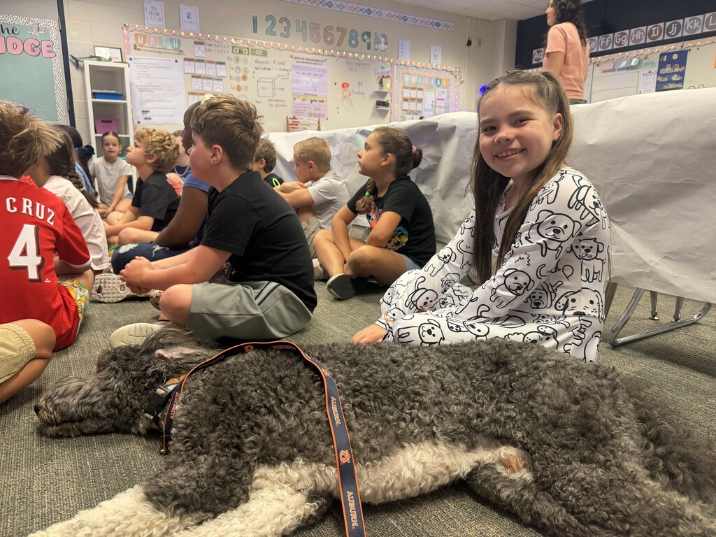 Teddy for the Day