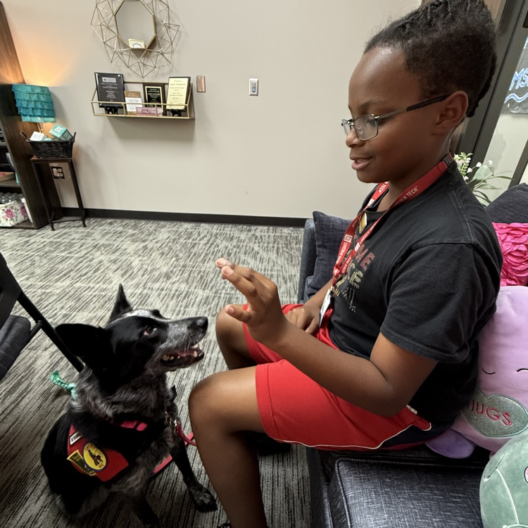 dog handler