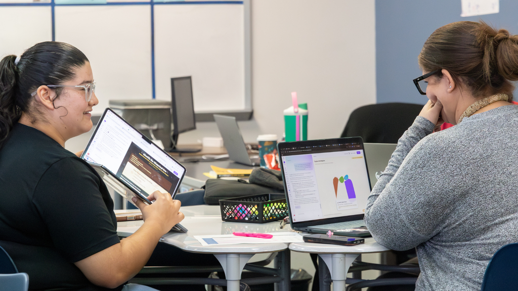 two educators collaborating on computer screens