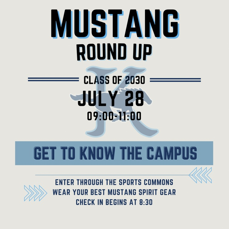 Mustang round up