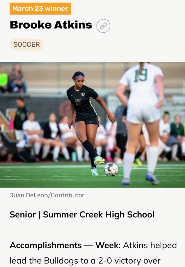 houston chronicle