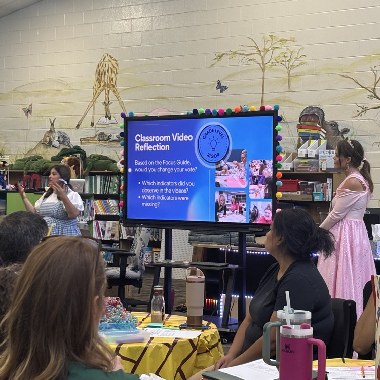 reviewing what it means to have rigor