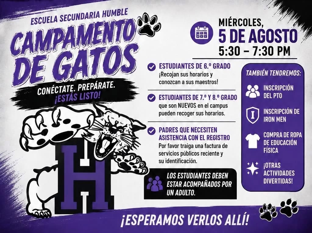 cat camp spanish
