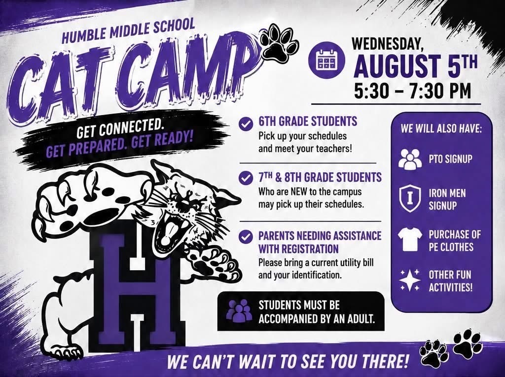 cat camp 