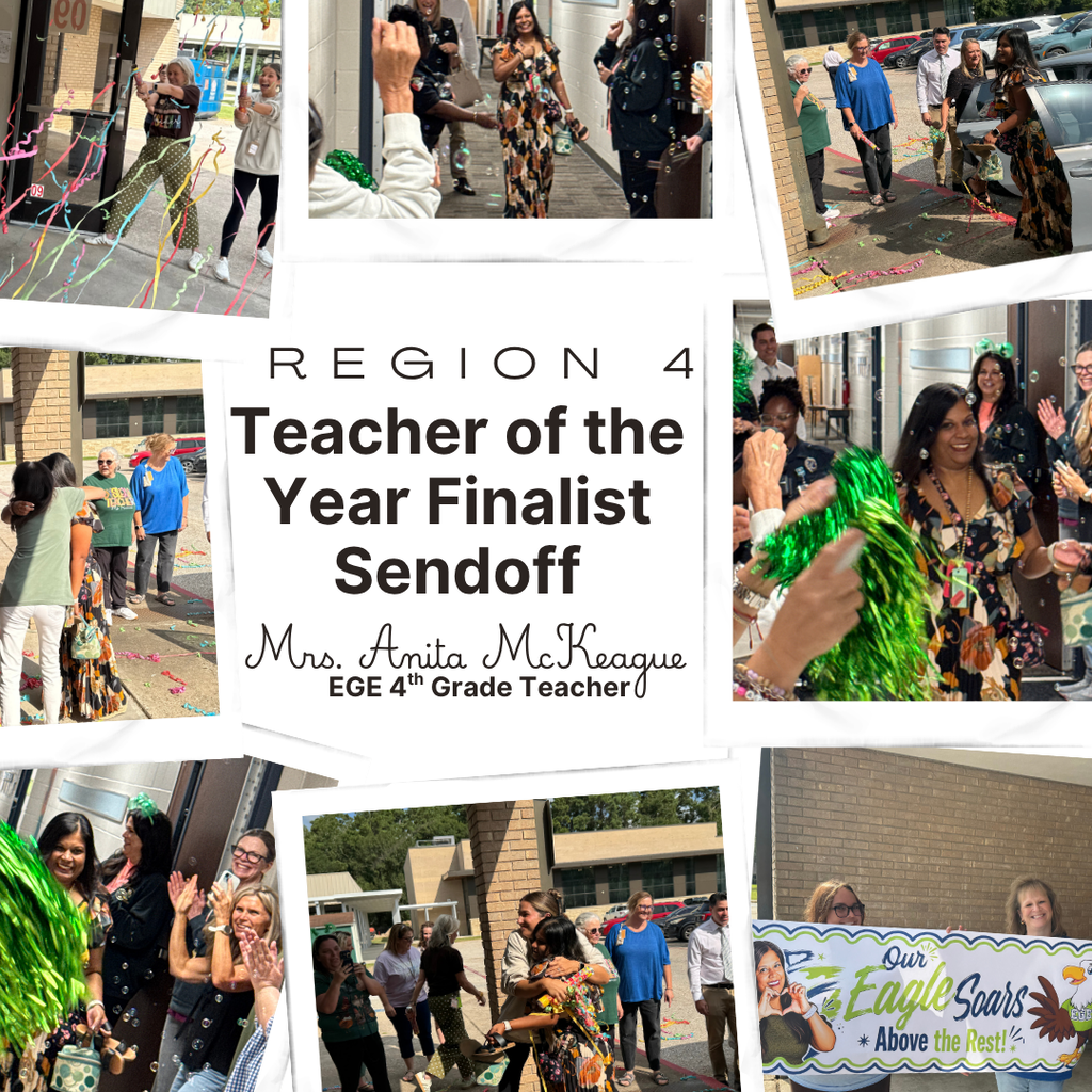 Anita McKeague Region 4 Teacher of the Year Finalist