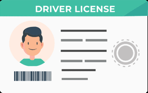 drivers license