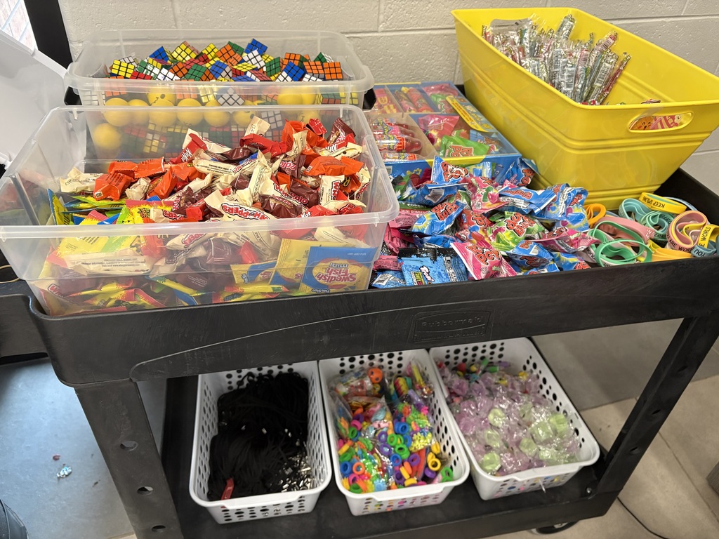 PBIS4