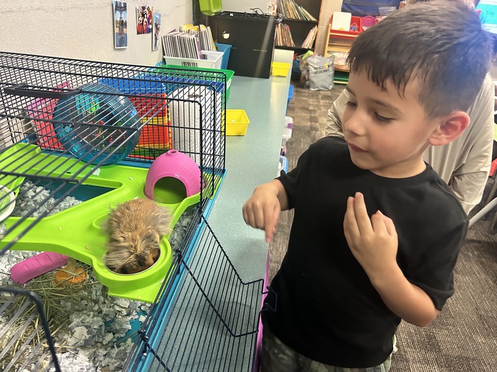 1stgradeclasspet3