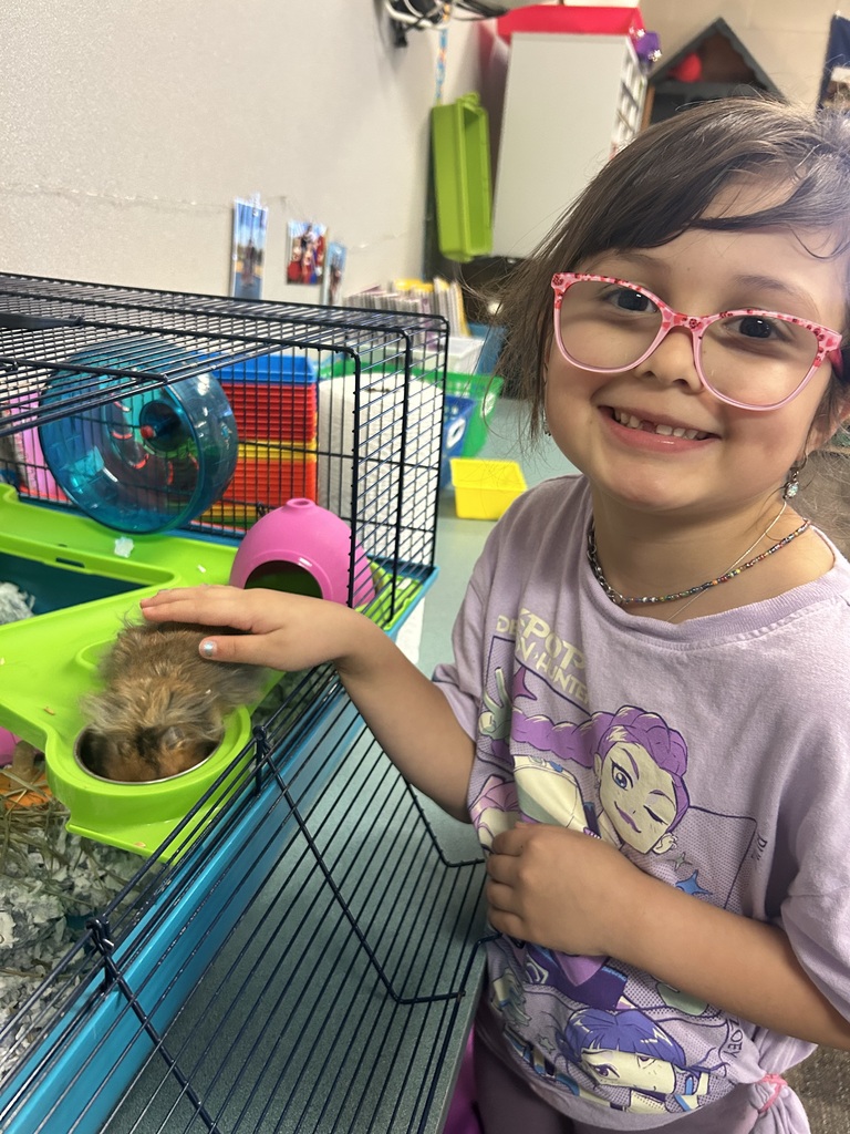 1stgradeclasspet4