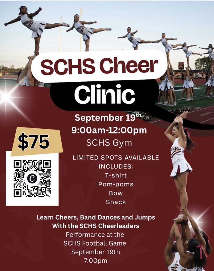 cheer clinic 