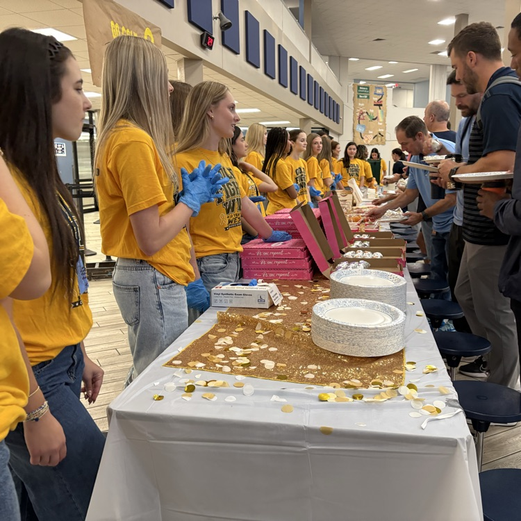 Go Gold Fillies