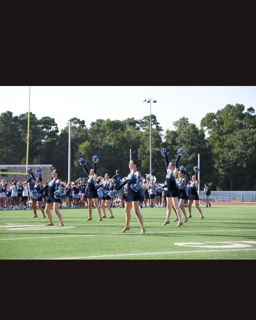 Fillies
